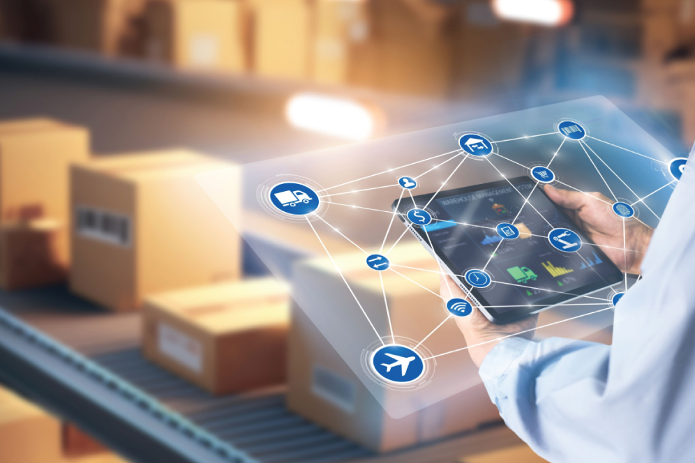 Economy Warehousing Services