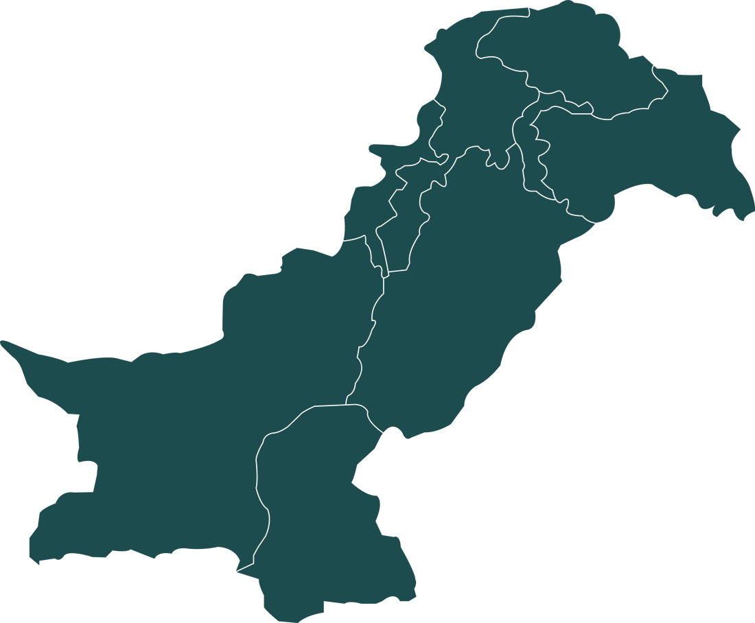 Pak Pallet domestic map